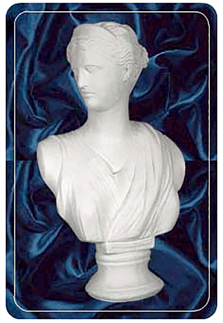 bust1 2