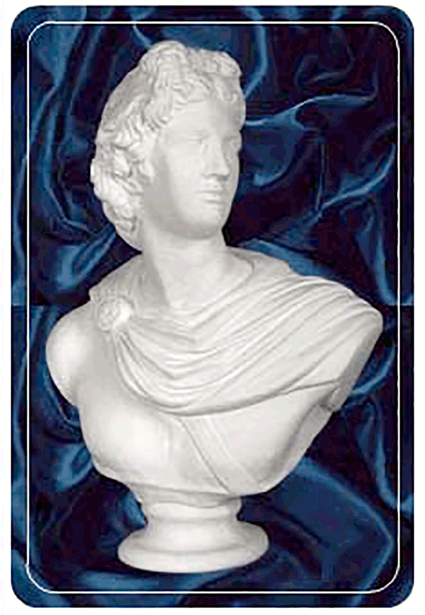 bust2 2